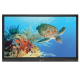 Boxlight 654U 65 inch ProColor 4K Interactive Flat Panel Display